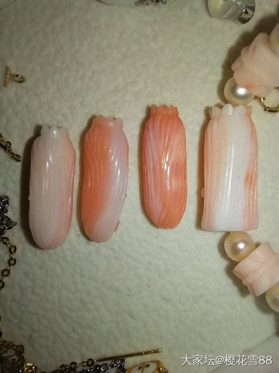 秀一下我的momo鱼塘🐟_珊瑚