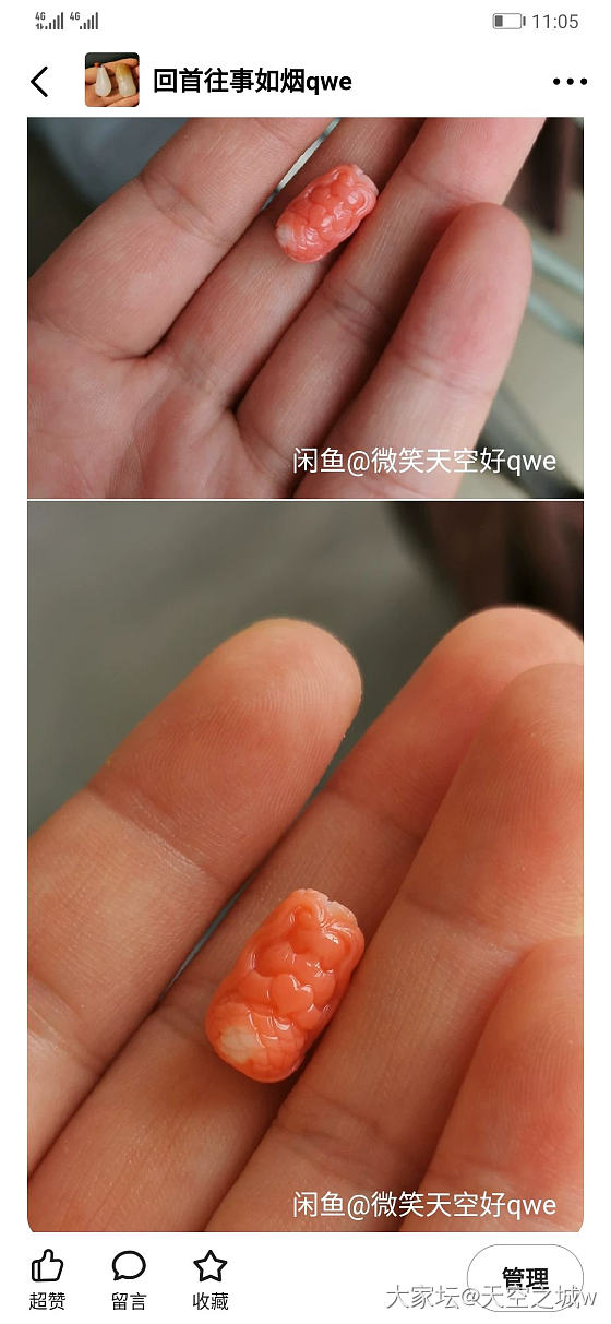 秀一下我的momo鱼塘🐟_珊瑚