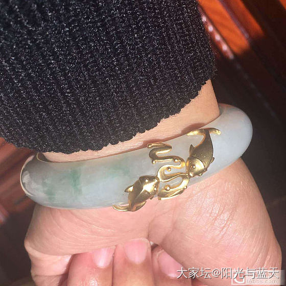 镯子包金回来了_手镯镶嵌翡翠