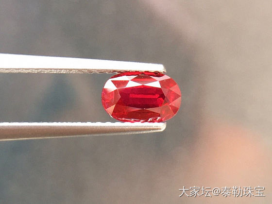【泰勒彩宝】稀有主证无烧鸽血红_红宝石