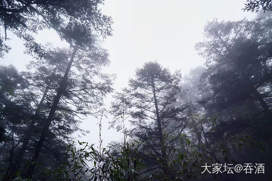 十一计划自驾去神农架和三峡，有没有来灭草的？_旅游