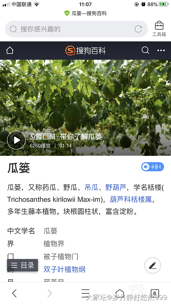 水一帖，这个东西你们那里叫啥？_植物银大家谈