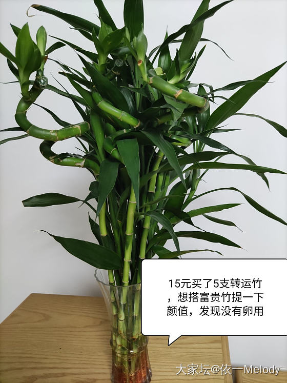 我是来众筹金币的，一共需要15个
