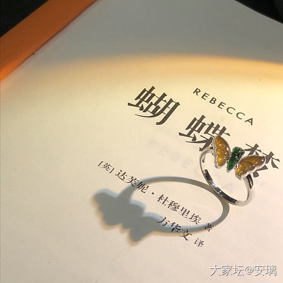 蝴蝶梦_首饰