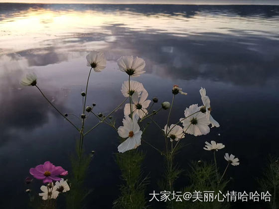 泸沽湖的日与夜_摄影景色旅游大家谈