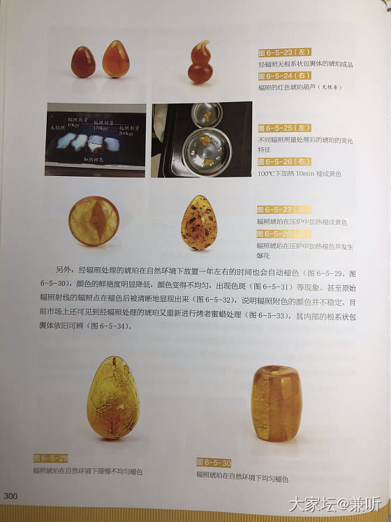 警惕“血蜜”回潮_琥珀蜜蜡