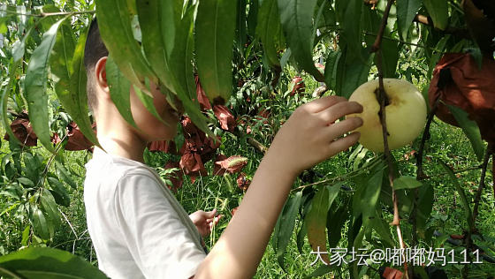 家门口的大瀑布_景色浙江旅游