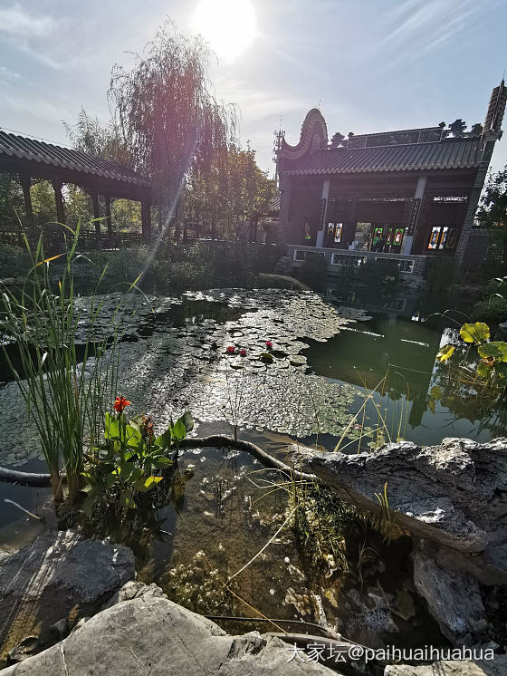 这两天北京有没有人不多的公园_北京旅游