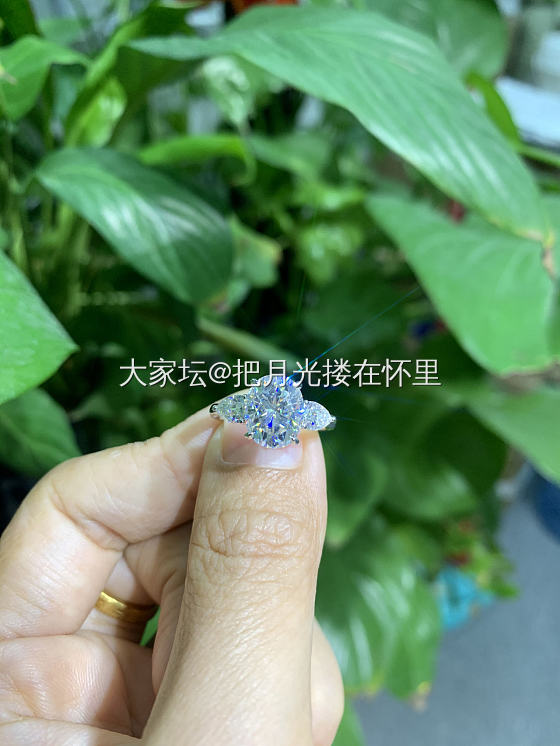 有人说莫桑钻跟钻石怎么取舍，那肯定是有钱选择钻石能保值，预算少搞个莫桑来过把瘾也..._莫桑石钻石