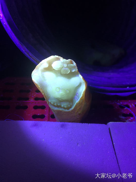 我是一只小猫咪🐱_琥珀蜜蜡
