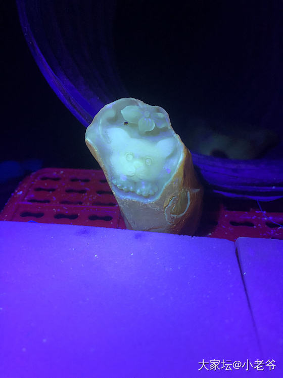 我是一只小猫咪🐱_琥珀蜜蜡