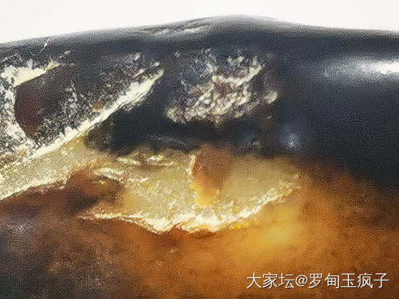 包公黑_摆件