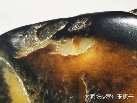 包公黑_摆件