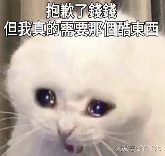 缺什么晒什么🤔_路易·威登包包