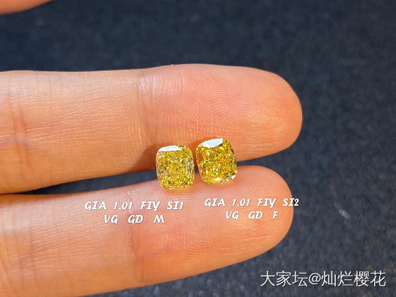 一克拉浓彩黄配对👬
GIA  1.01ct  FIY  SI1  VG  GD ..._彩钻