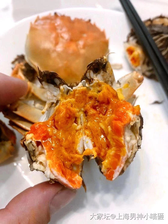 美味大闸蟹~好好吃