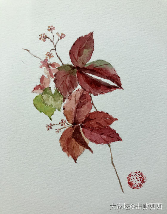 最后一天，喵喵救救孩子
