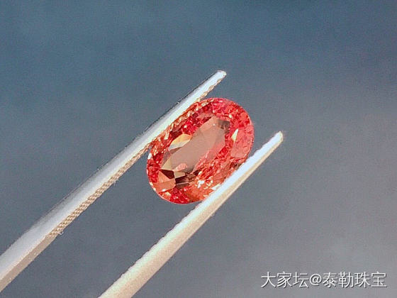 【泰勒彩宝】3.01ct无烧帕帕拉恰裸石新品_蓝宝石