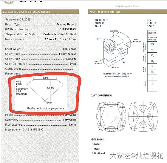 10.03克拉 Fancy Yellow I1 2VG N
实物比挺多Si2 还..._彩钻异形钻