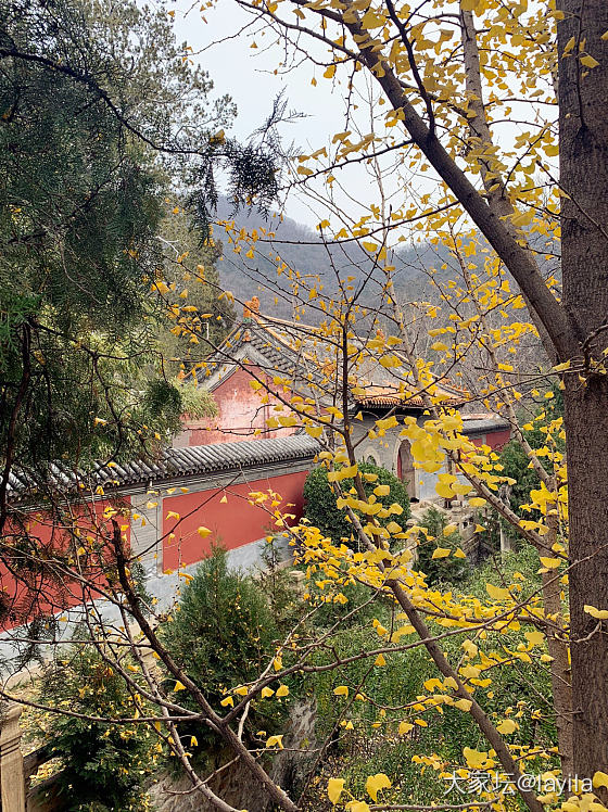 先有潭柘寺，后有幽州城。_和田玉旅游