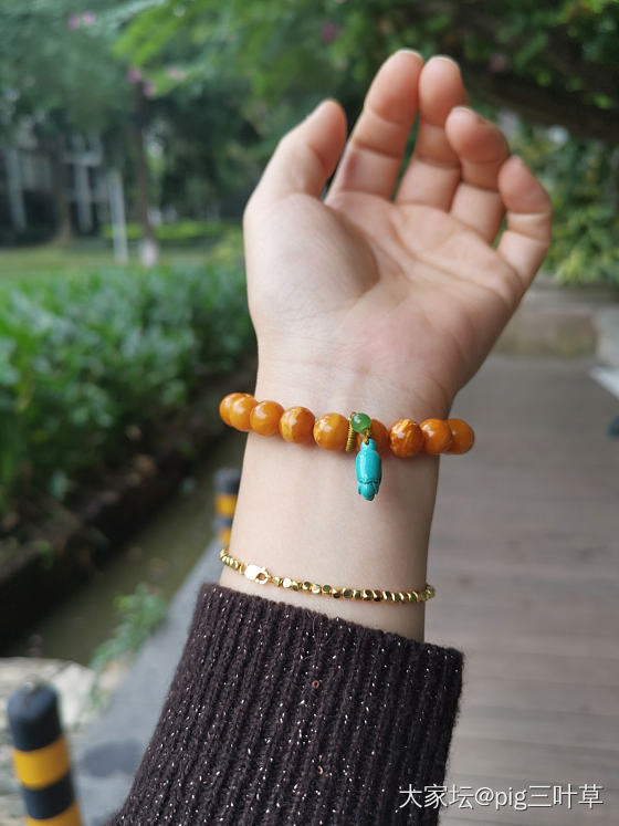 显白又温暖的蜜蜡_琥珀蜜蜡
