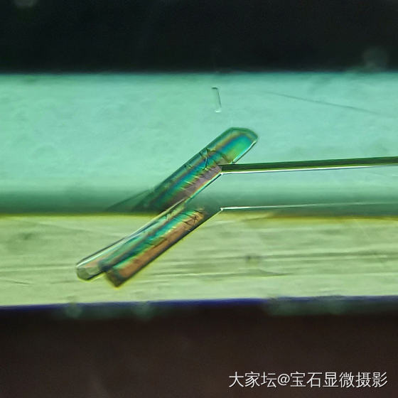 碧玺里面的碧玺包裹体_碧玺彩色宝石