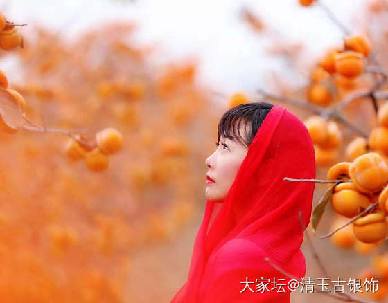 冬到，柿子光，拍照去