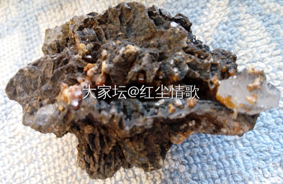 咱的藏品 默奇森陨石  含有氨基酸，天外陨石就是外星人散播文明种子_观赏石