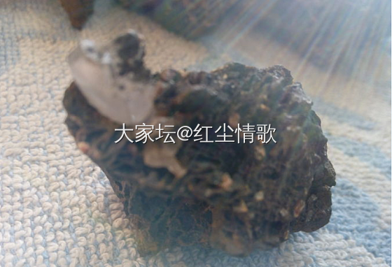 咱的藏品 默奇森陨石  含有氨基酸，天外陨石就是外星人散播文明种子_观赏石