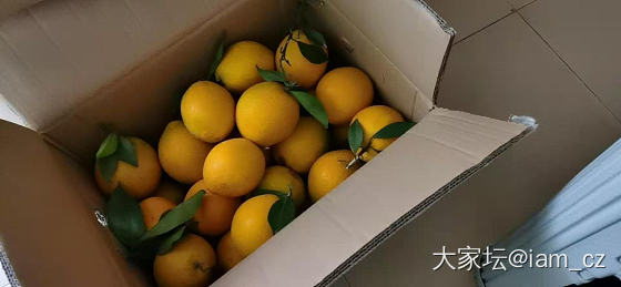有要吃江西赣南信丰脐橙的姐妹吗