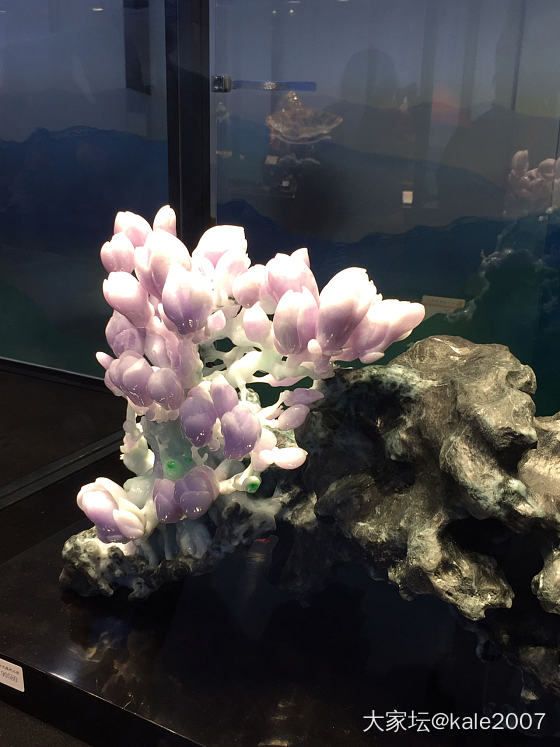 展会游记_收藏彩色宝石翡翠展会