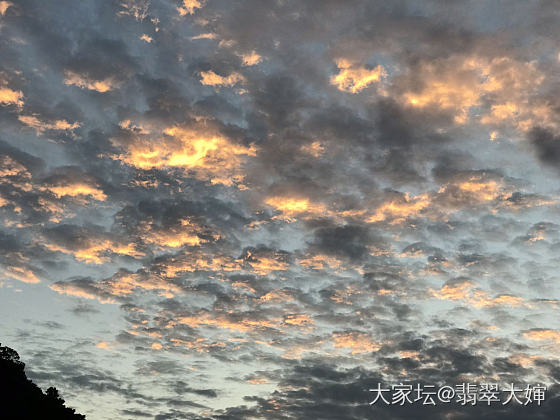 今天傍晚的夕阳
