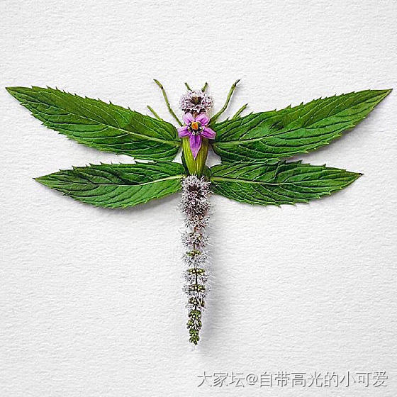 创意艺术贴画_贴画