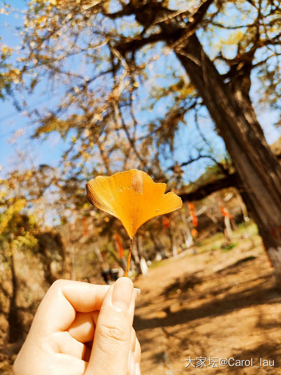 南方的冬天_和田玉