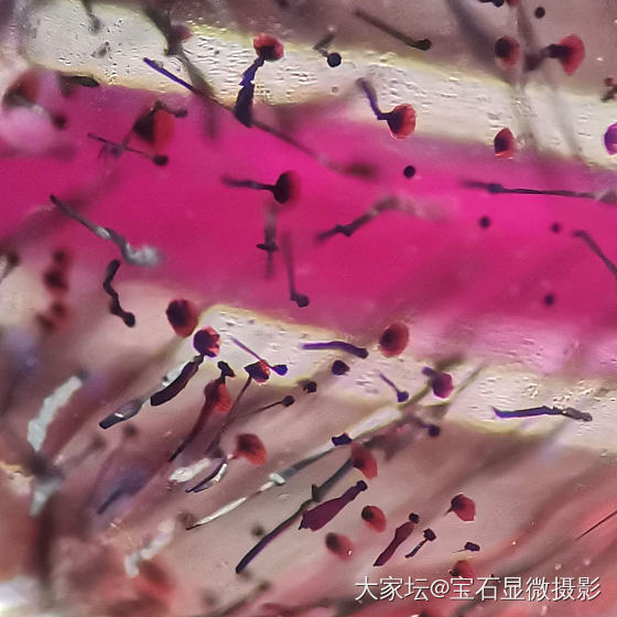 超七水晶_水晶