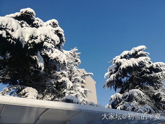 通过这次下雪。。。我找到了好多同城姐妹_景色