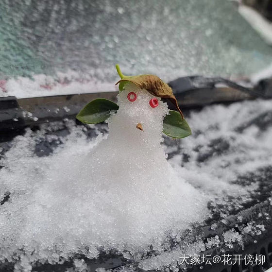 南方人，头一次