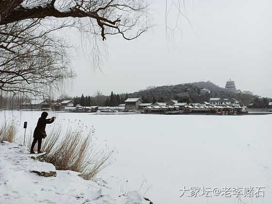 下雪了_旅游