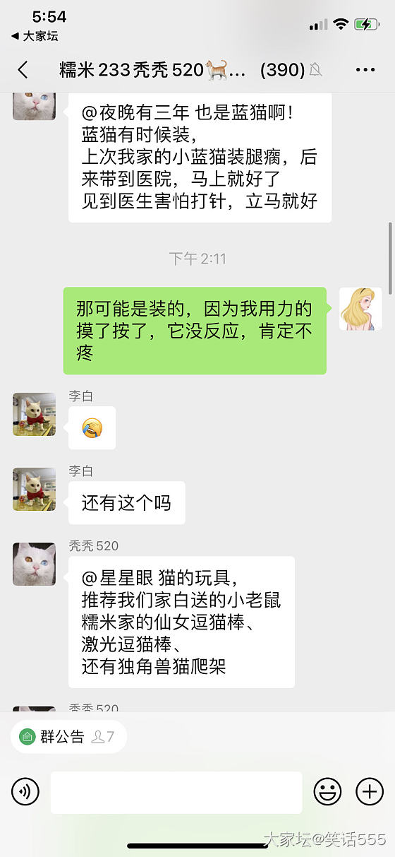 被卖猫的骗了_猫