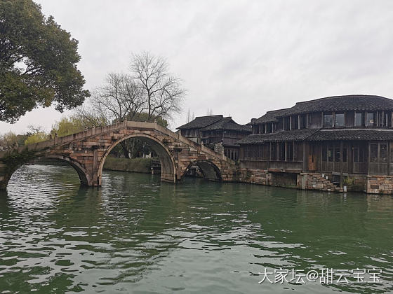 春雨朦胧中的乌镇，景区里基本没什么人，很多店都是独享，哈哈哈