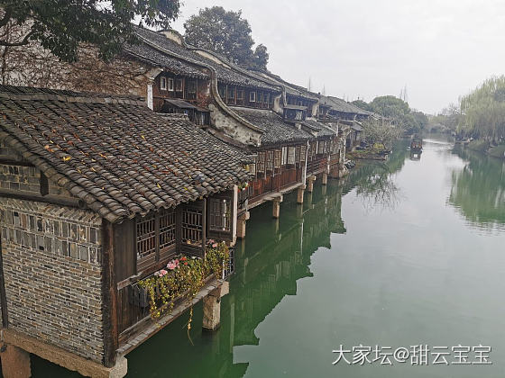 春雨朦胧中的乌镇，景区里基本没什么人，很多店都是独享，哈哈哈