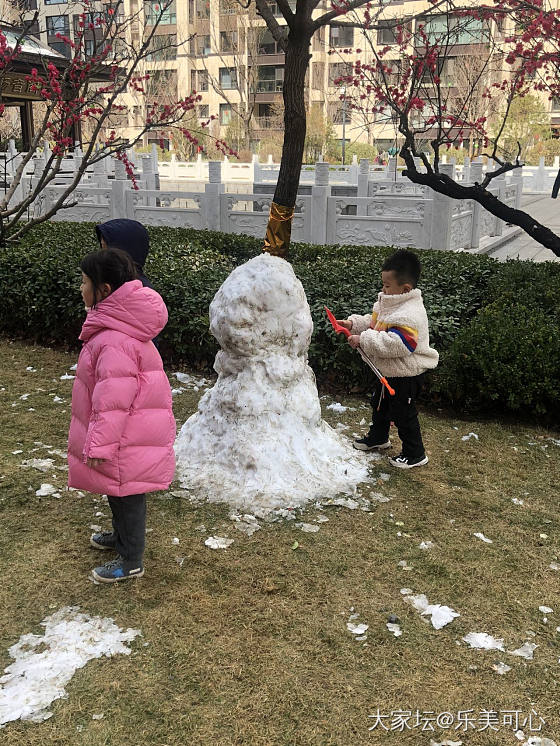 咋天的大雪，今日已融化，留下好多堆的雪人，太短暂了_闲聊