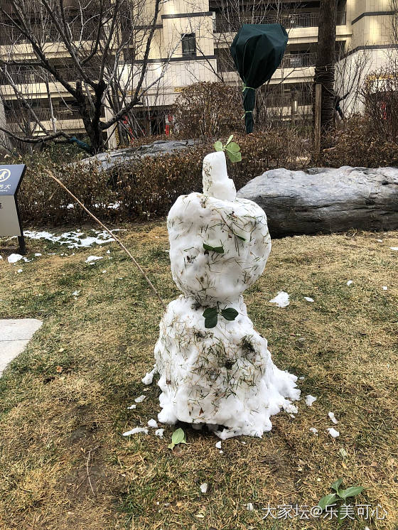 咋天的大雪，今日已融化，留下好多堆的雪人，太短暂了_闲聊