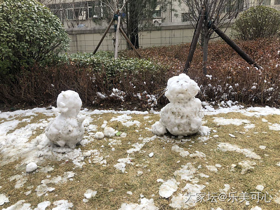 咋天的大雪，今日已融化，留下好多堆的雪人，太短暂了_闲聊