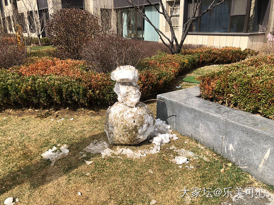 咋天的大雪，今日已融化，留下好多堆的雪人，太短暂了_闲聊