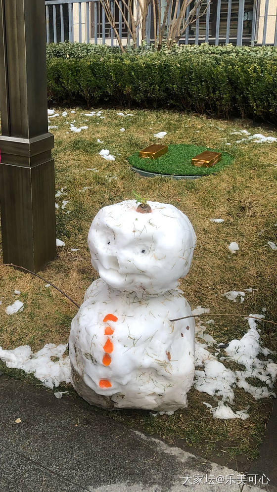 咋天的大雪，今日已融化，留下好多堆的雪人，太短暂了_闲聊