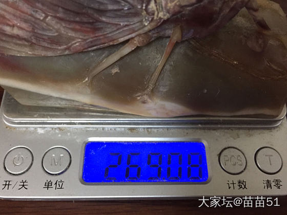 有人知道这是什么吗？_玉石