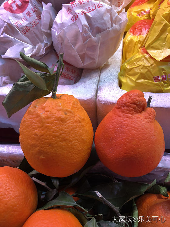 市场上发现的橙子_水果