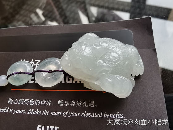 卖家说这个癞蛤蟆也是冰，我是不是被骗了_翡翠