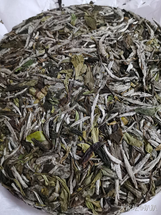 有茶友姐妹吗，咨询一下白茶牡丹王_茶叶